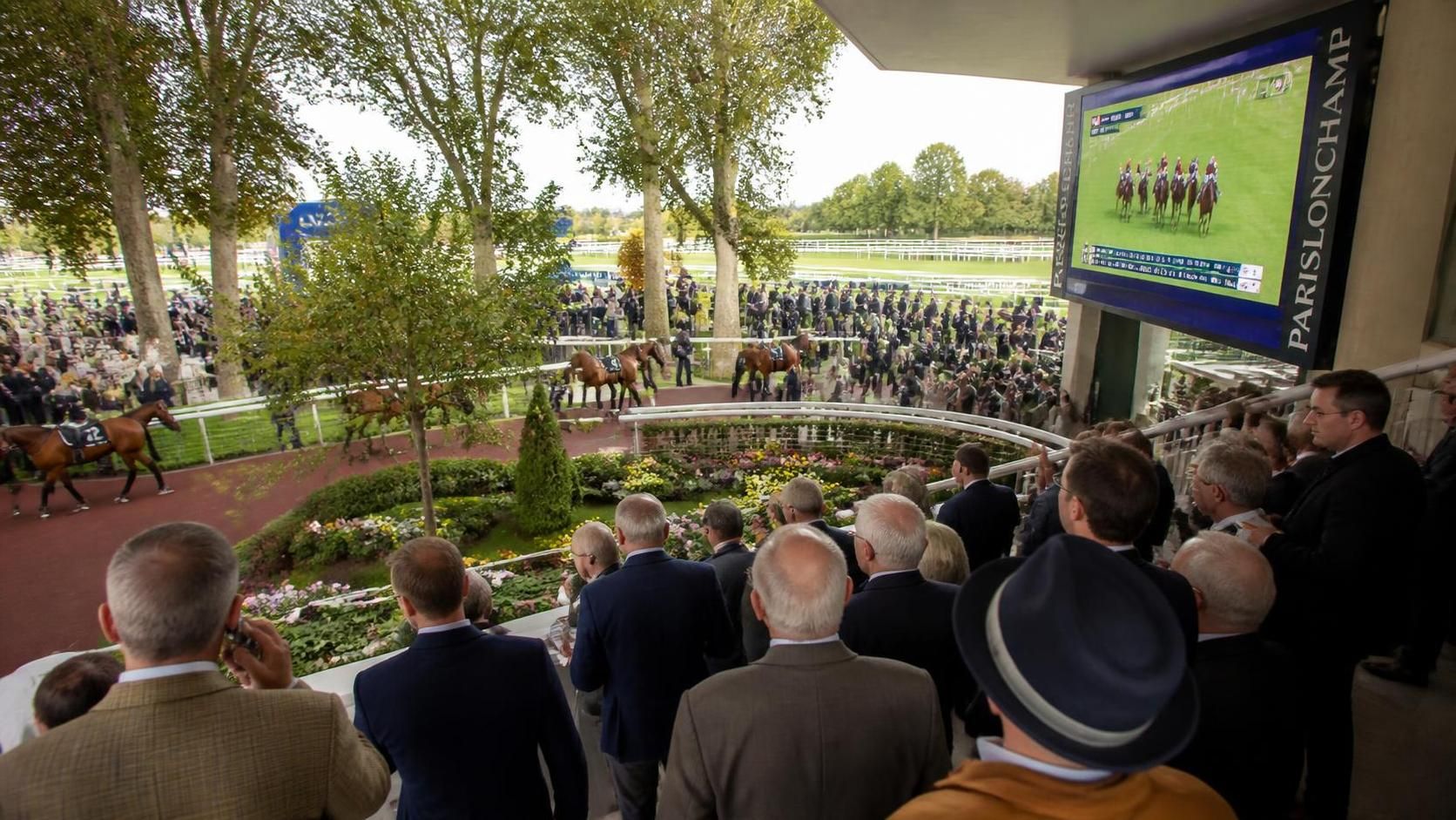 découvrez l'univers captivant de l'esprit turf, où passion et stratégies se rencontrent pour vivre pleinement l'excitation des courses hippiques.