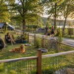 Camping avec espaces clôturés spécialement dédiés à vos chiens