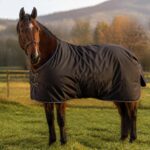 Le grammage idéal des couvertures pour chevaux : confort et protection optimaux