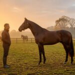 Les Haras Nationaux à la recherche de chevaux d'exception